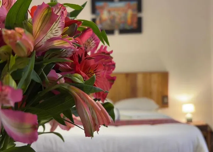 Albergue Morenas Backpackers *